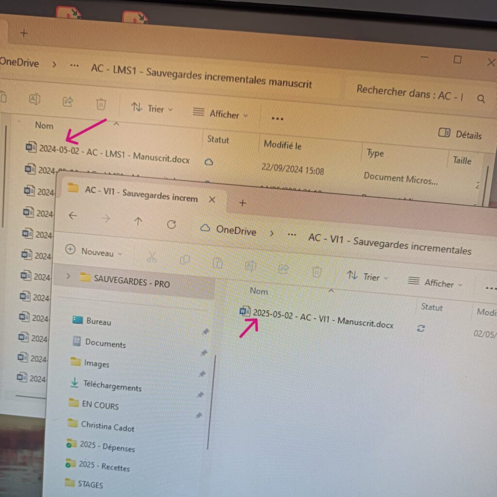 Capture d'écran de mes dossiers de sauvegardes de romans